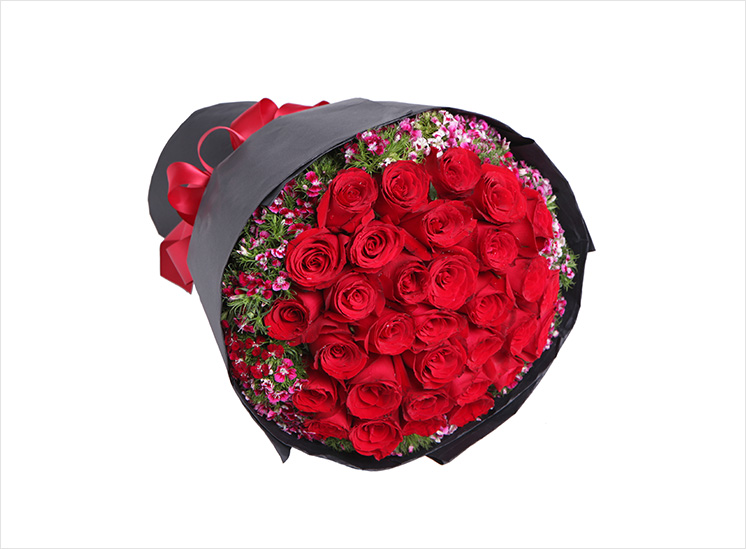 Red Dream Güller