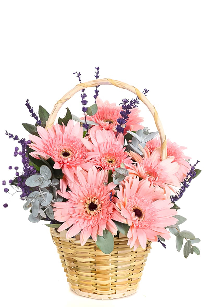 Sweet Suprise Pembe Gerbera Aranjmanı 